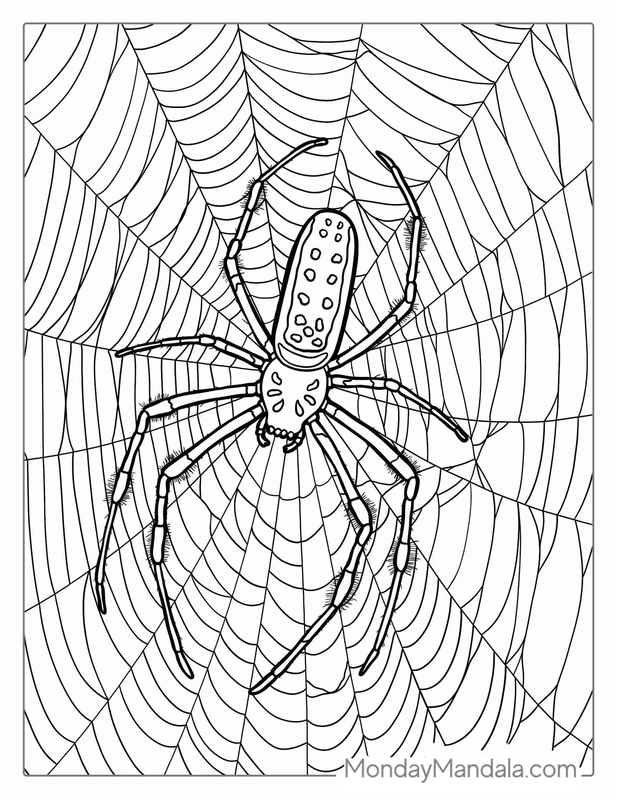 Detailed Huntsman Spider On Web To Color(1) coloring page