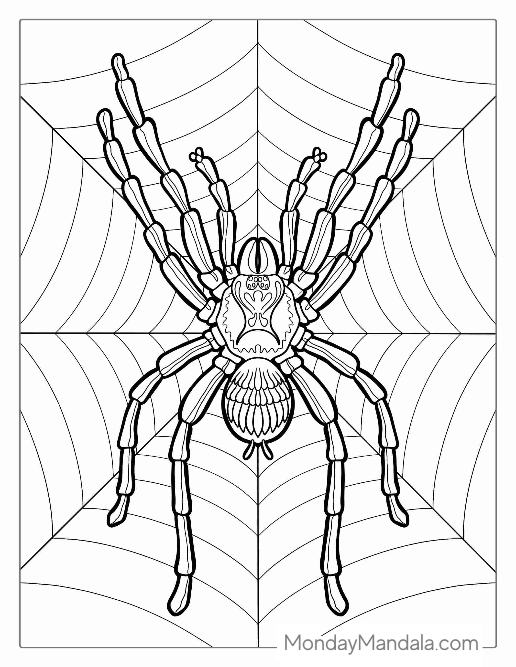 Detailed Huntsman Spider On Web To Color coloring page