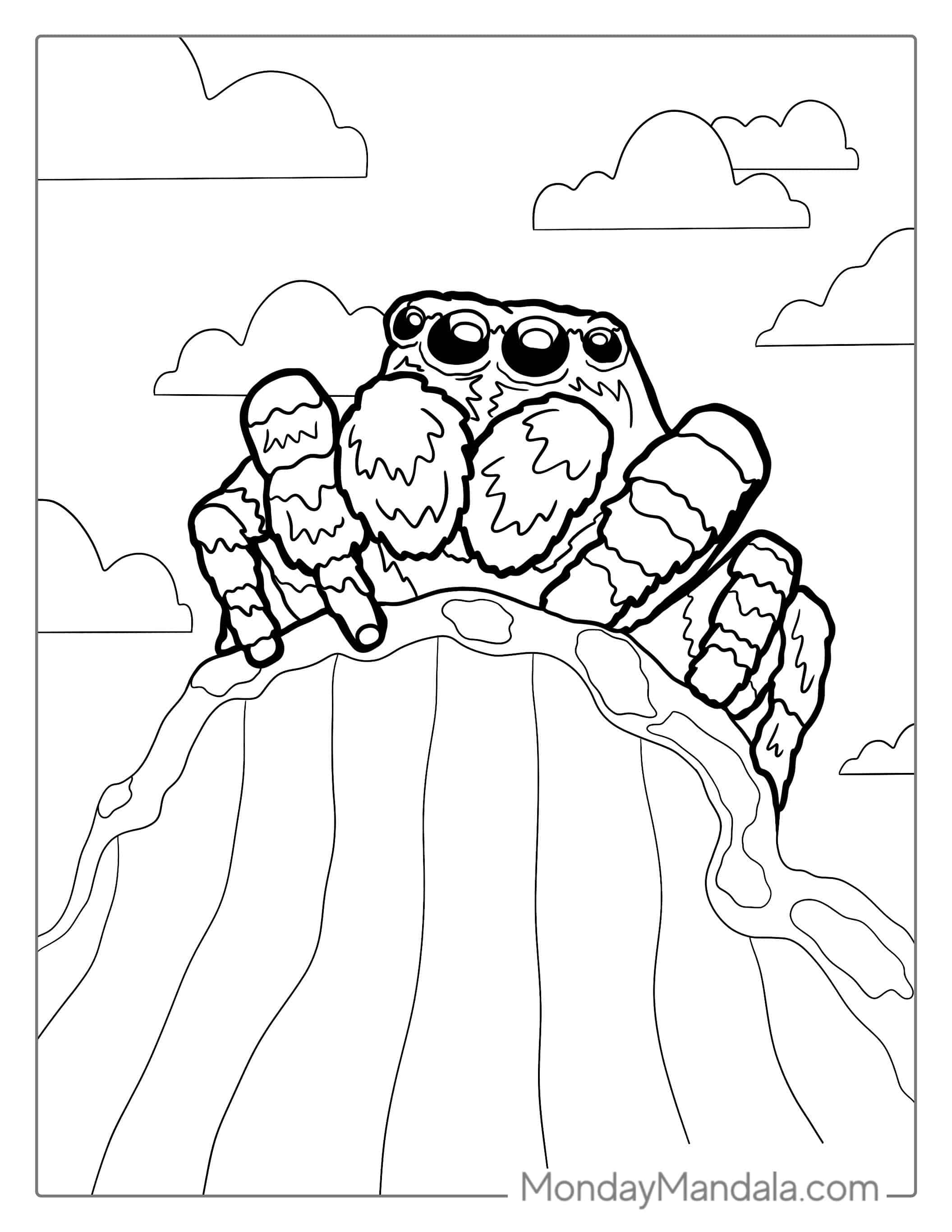Himalayan Spider Coloring Sheet For Kids coloring page