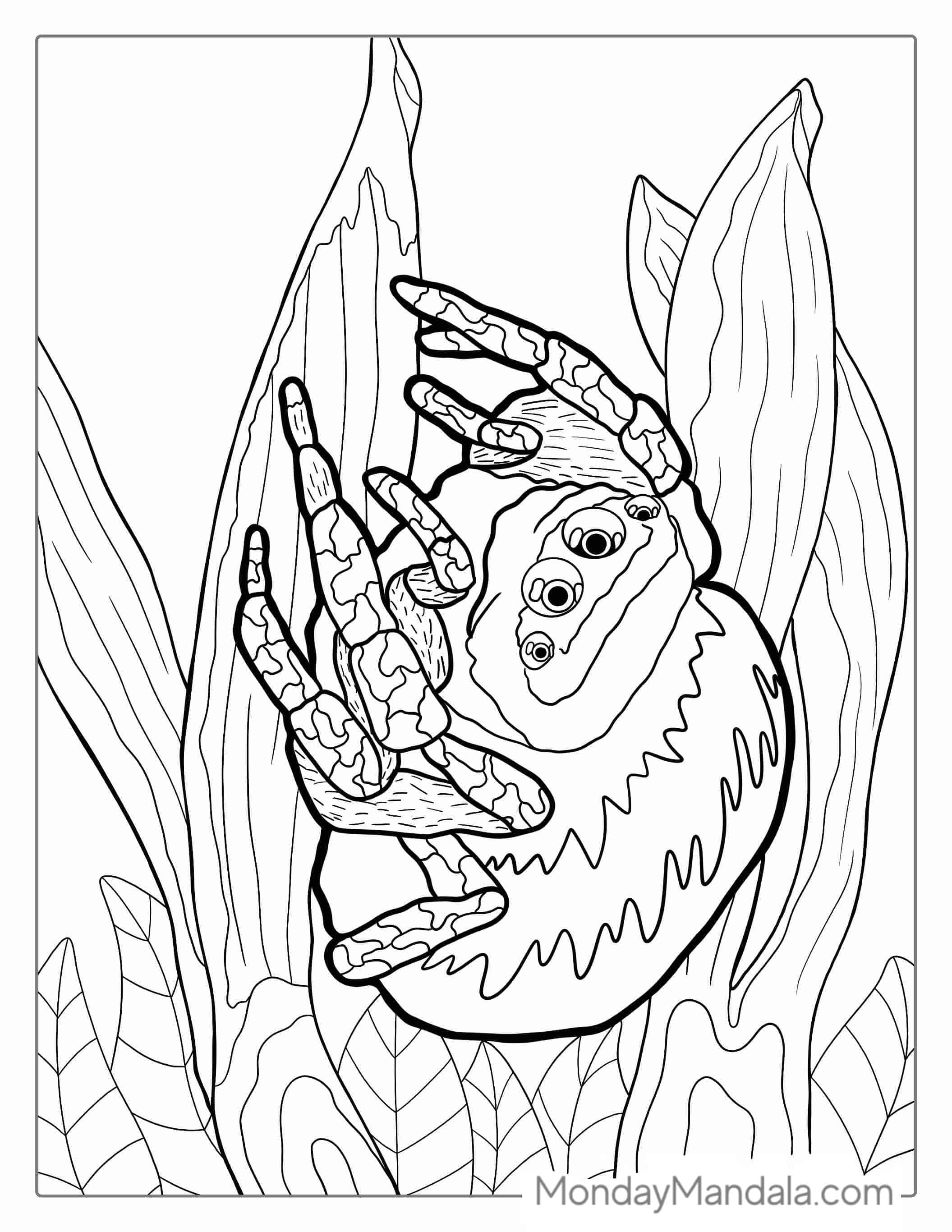 Jumping Spider Sitting On Leaves coloring page