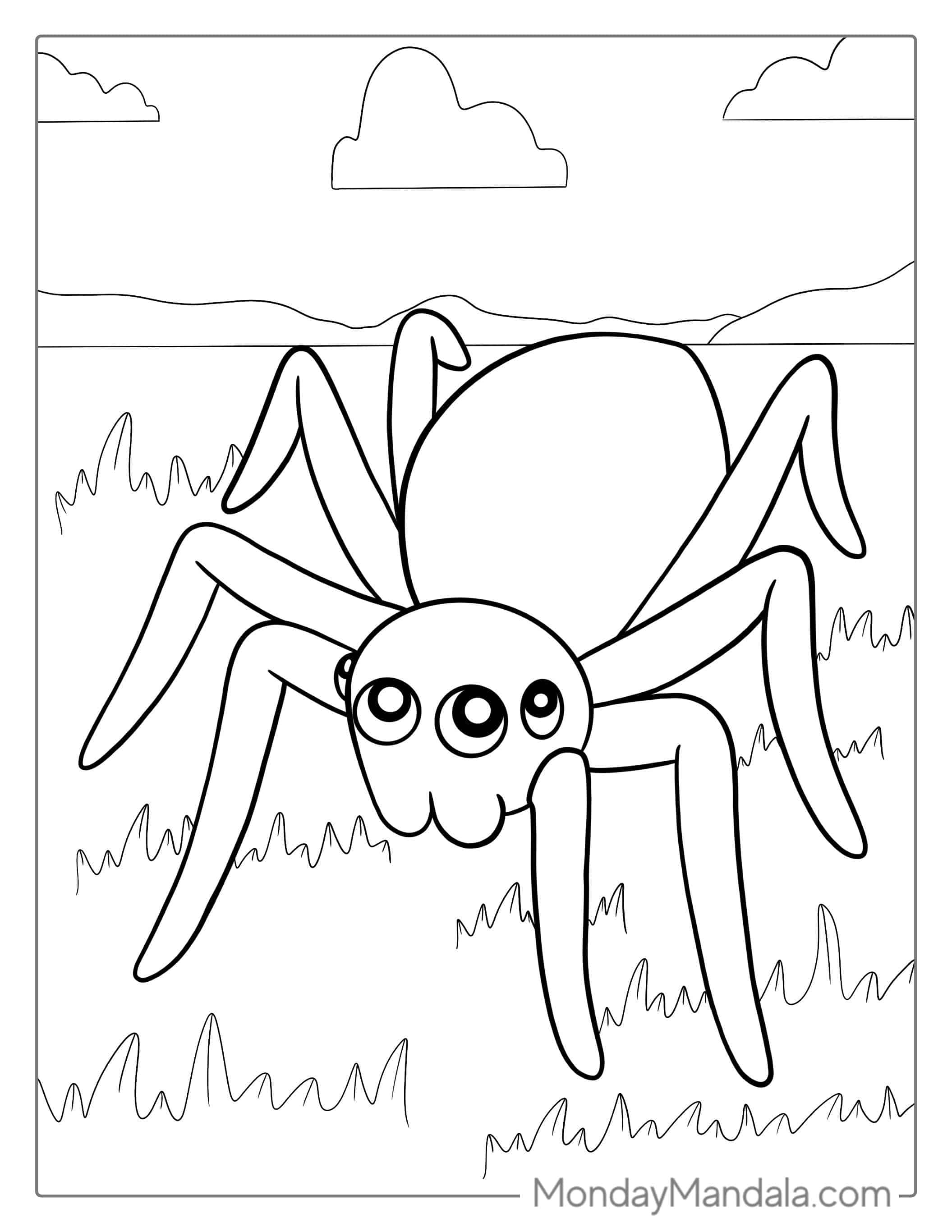 Simple Outline Of Spider To Color coloring page