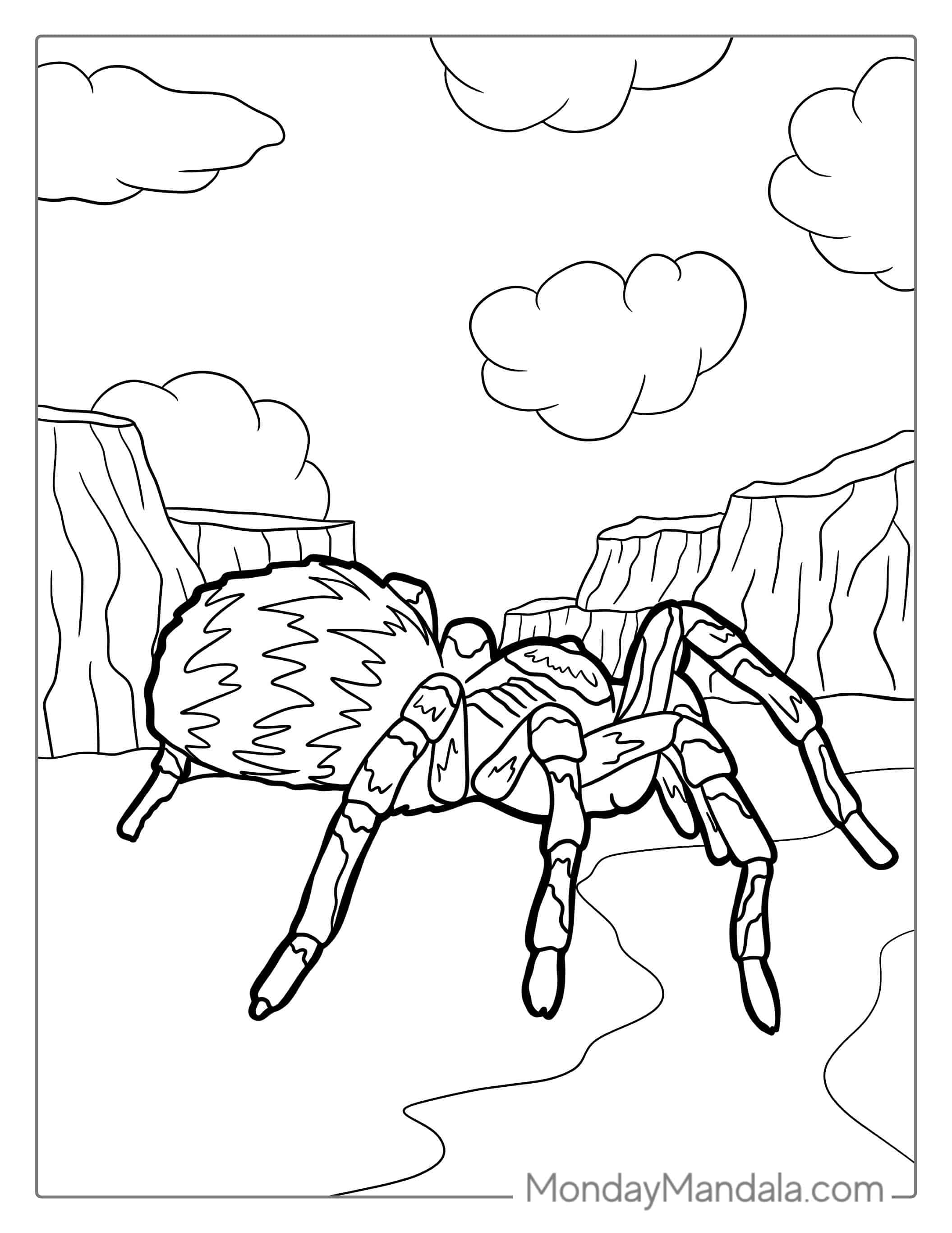 Tarantula Coloring Page coloring page