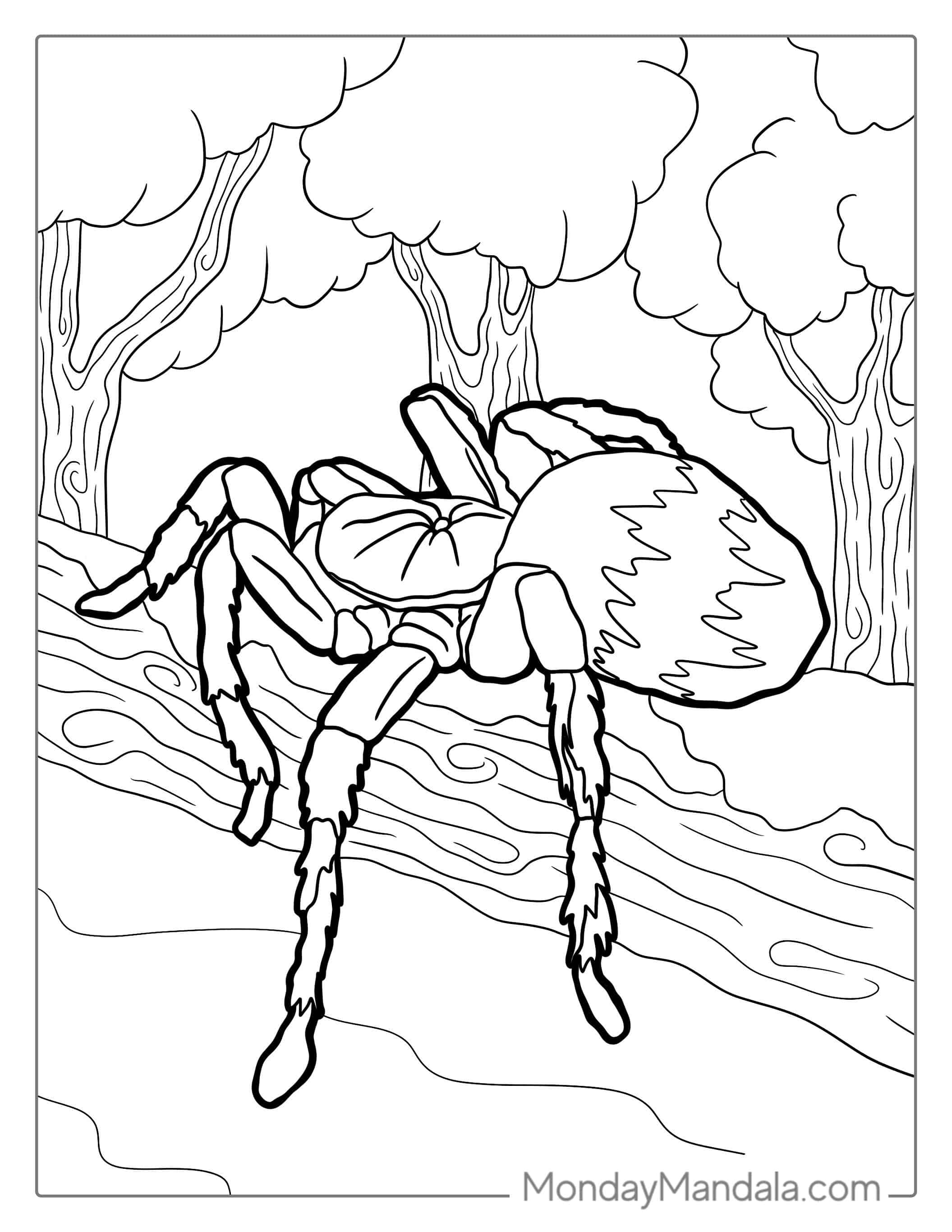 Tarantula Spider Resting On Log To Color coloring page — printable line art
