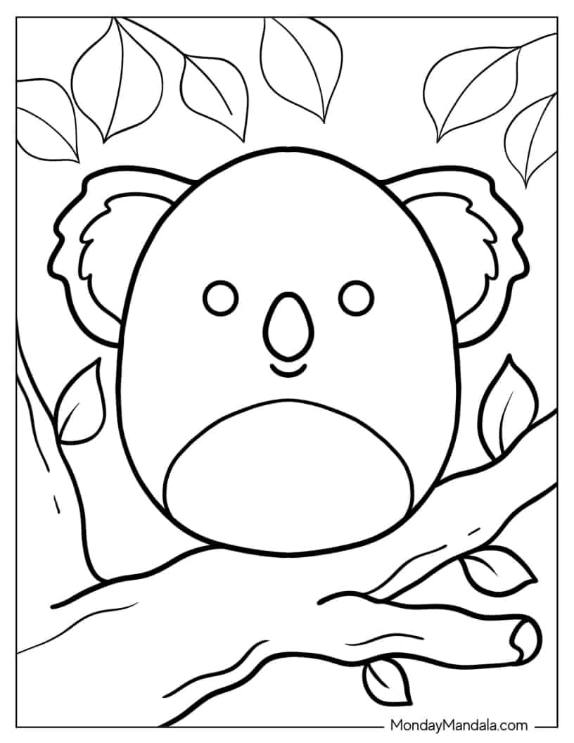 Kevin The Koala Squishmallow coloring page