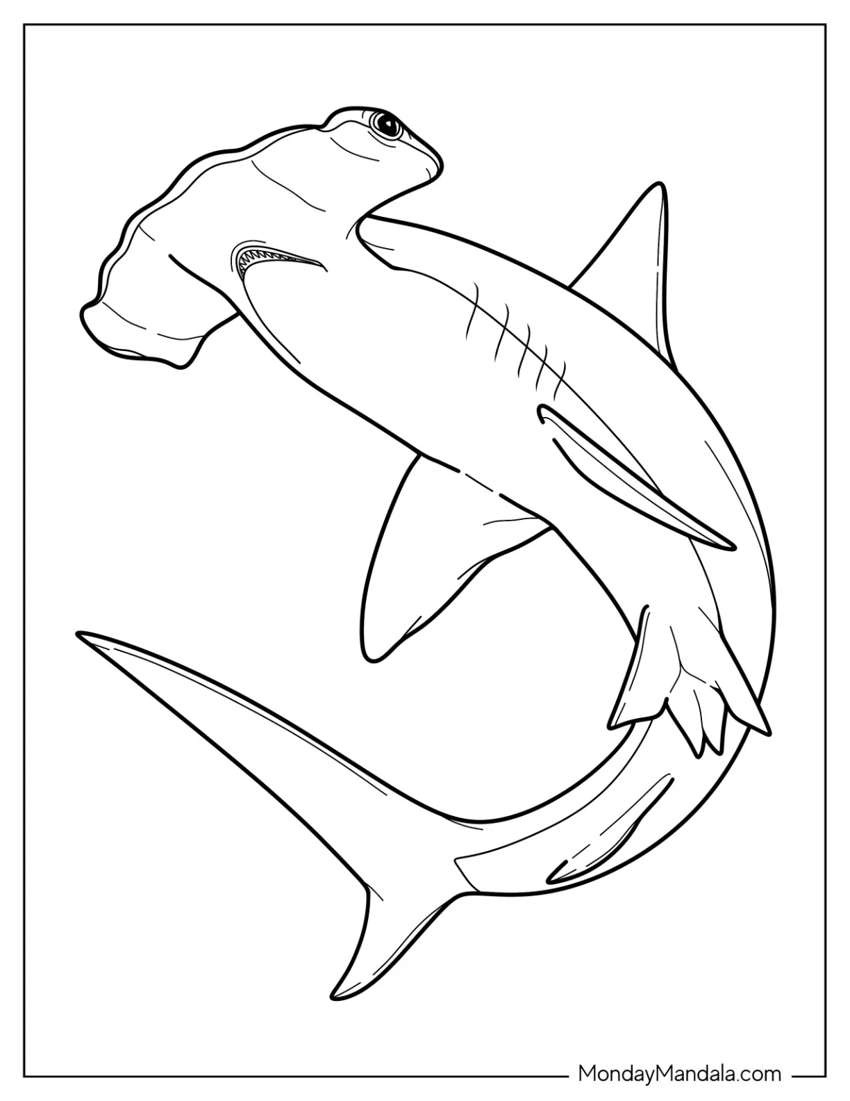 Realistic Hammerhead Shark Coloring Page For Kids coloring page