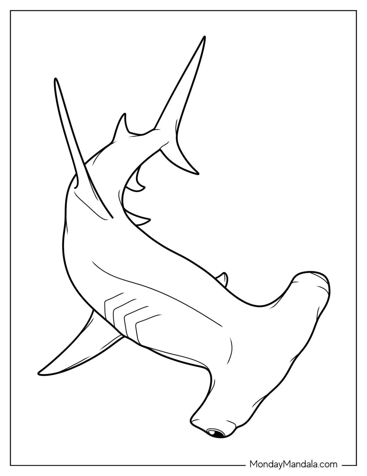 Top View Of Hammerhead Shark Coloring Page coloring page