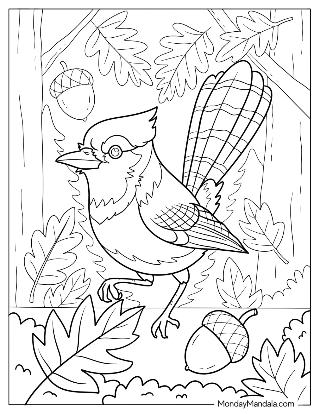 Bird Coloring Page of Blue Jay Bird Walking Through Autumn Leaves and Acorns coloring page — printable line art