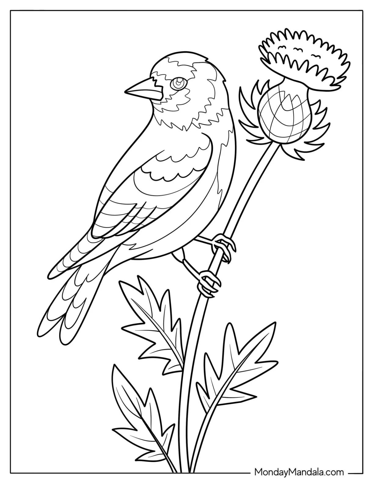 Bird Coloring Page of European Goldfinch Perched on Thistle with Wildflowers for Adults coloring page