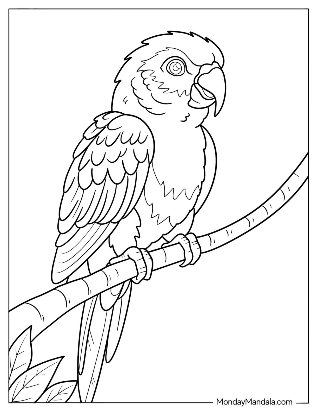 Bird Coloring Page of Sun Conure Parrot Perched on Curved Branch for Kids coloring page