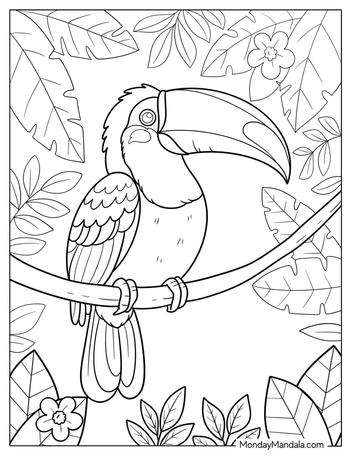 Bird Coloring Page of Tropical Toucan Perched on a Branch with Jungle Fruit for Kids coloring page