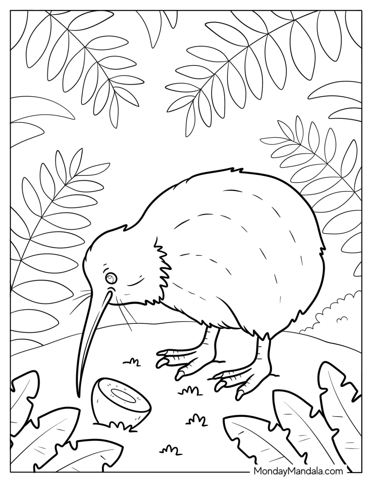 Kiwi Bird with Long Beak Standing in a Leafy Forest coloring page