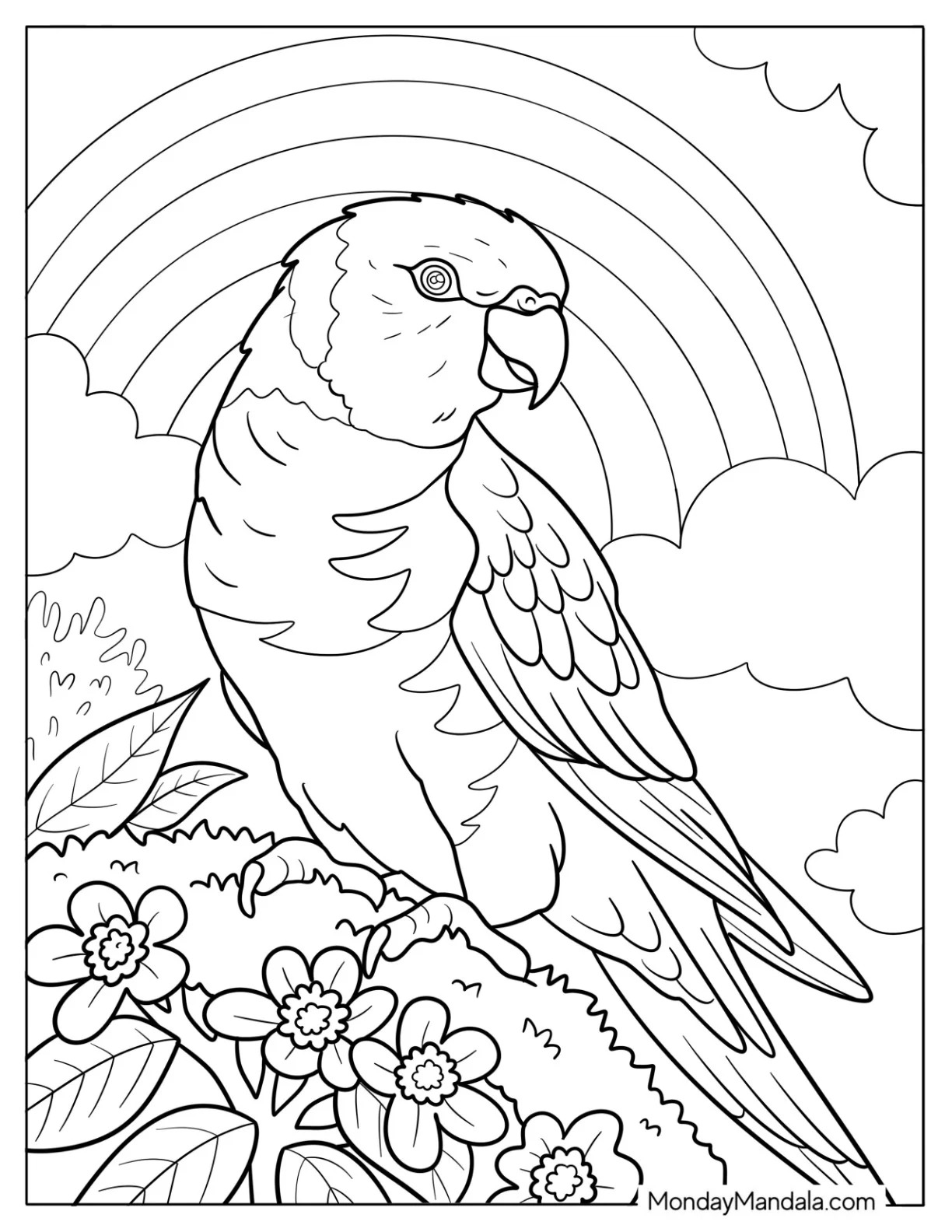 Realistic Parrot Sitting on a Branch with Rainbow and Flowers Coloring Sheet coloring page — printable line art