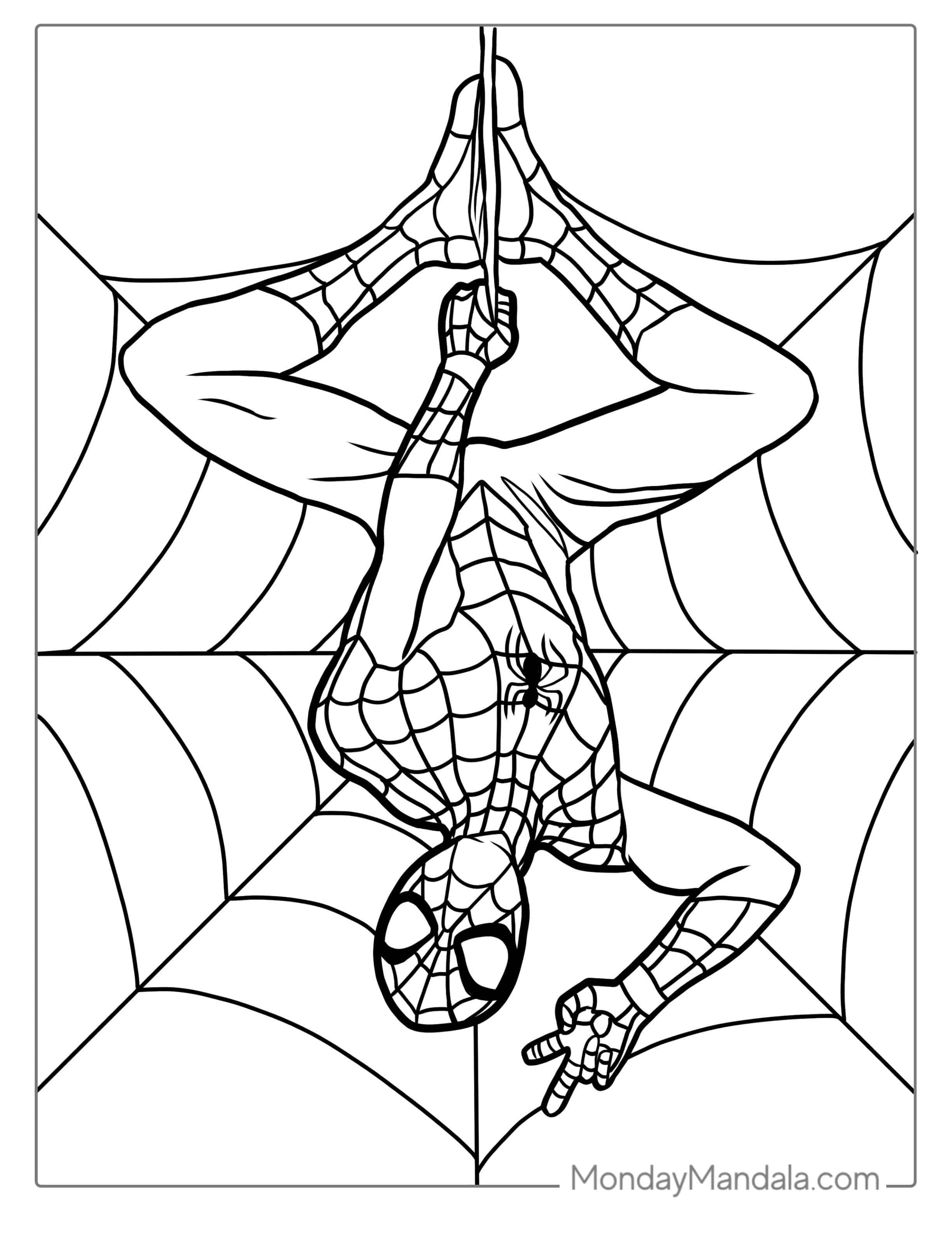 Spider-Man Hanging Upside Down Coloring Sheet coloring page